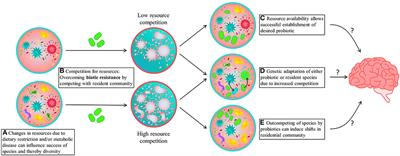 A Microbial Community Ecology Perspective on the Gut-Microbiome-Brain Axis